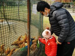 -前小桔亲子创意农场·草莓采摘·露营烧烤