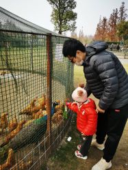 -前小桔亲子创意农场·草莓采摘·露营烧烤