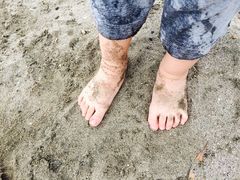 -台场海滨公园船码头