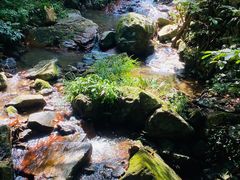 -莫干山风景区