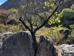 -百里山水画廊乌龙峡谷