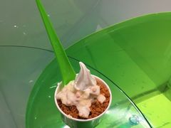 -Salud撒露欧洲冻酸奶(蓝色港湾店)