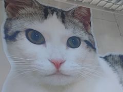 -方浜中路45弄小区