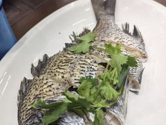 -长平肥姐白粥·海鲜打冷