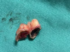 -惠州口腔医院(下埔总院)