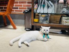 -众人咖啡·PEOPLE COFFEE(罗湖益田假日广场店)