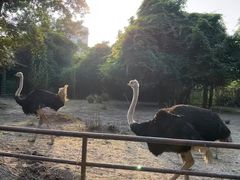 -南昌动物园