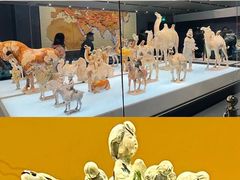 -陕西历史博物馆