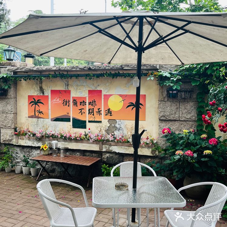 青岛老巷里的咖啡时光|藏在街角的 莫奈花园 咖啡馆