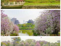 -海珠湖公园