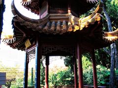 -嘉定紫藤园