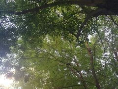 -管氏翅吧(地安门创始店)
