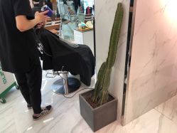 -潘多拉Hairsalon
