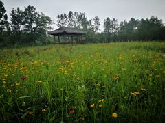 -白鹭湾湿地公园