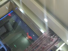 -老码头黑皮肘子锅包肉(文政街店)