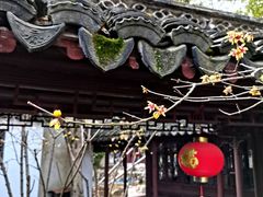 -上海醉白池公园