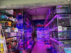 -青石桥花鸟鱼虫市场(叠翠城店)