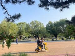 -汉长安城未央宫国家考古遗址公园