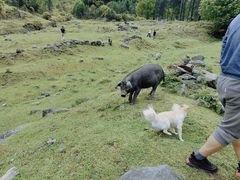 -硗碛藏寨·神木垒景区