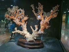 -台北故宫博物院