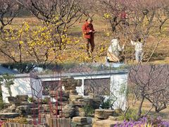 -无锡梅园公园