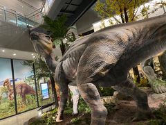 -湖南省地质博物馆