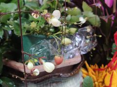 -三旗百汇商品城