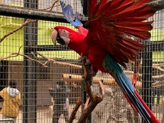 -北京野生动物园