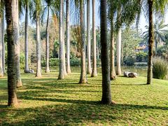 -中国科学院西双版纳热带植物园