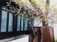 -南京市民俗博物馆(甘熙故居)
