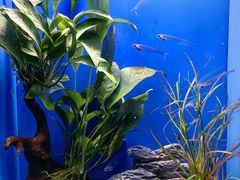 -上海海洋水族馆
