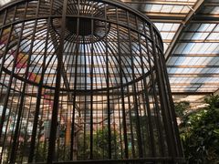 -南宫五洲植物乐园