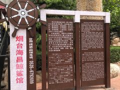 -烟台海昌鲸鲨海洋公园
