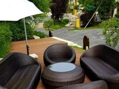 -大连金石滩绿发温泉假日酒店
