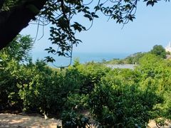 -石老人观光园