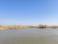 -盐城丹顶鹤湿地生态旅游区