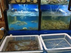 水产区-老东镇啤酒屋海鲜加工·蒸汽海鲜·海鲜烧烤(台东店)