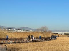-绿堤公园