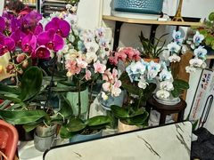 -FEI FEI FLOWER鲜花店·气球派对·宝宝宴布置(虹口德必运动Loft店)