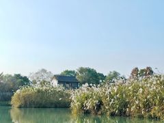 -西溪国家湿地公园