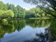 -上海共青森林公园