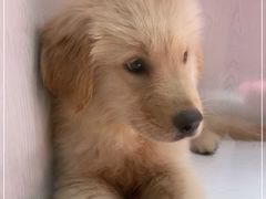 -乐宠宠物店(世纪金源店)