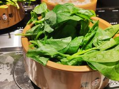 三七菜-龍歌自助小火锅(城阳万象汇店)