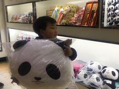 -熊猫邮局(少城店)