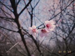 -明秦王墓遗址