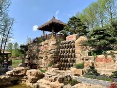 -东平国家森林公园