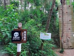 -芦仙山景区-飞越丛林探险乐园