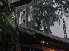 -城墙外BAR