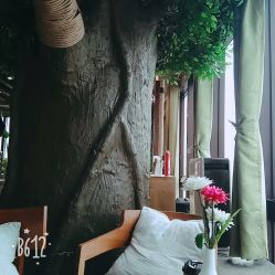 -V-STAR威斯达•高级私人定制