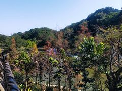 -广州市帽峰山景区